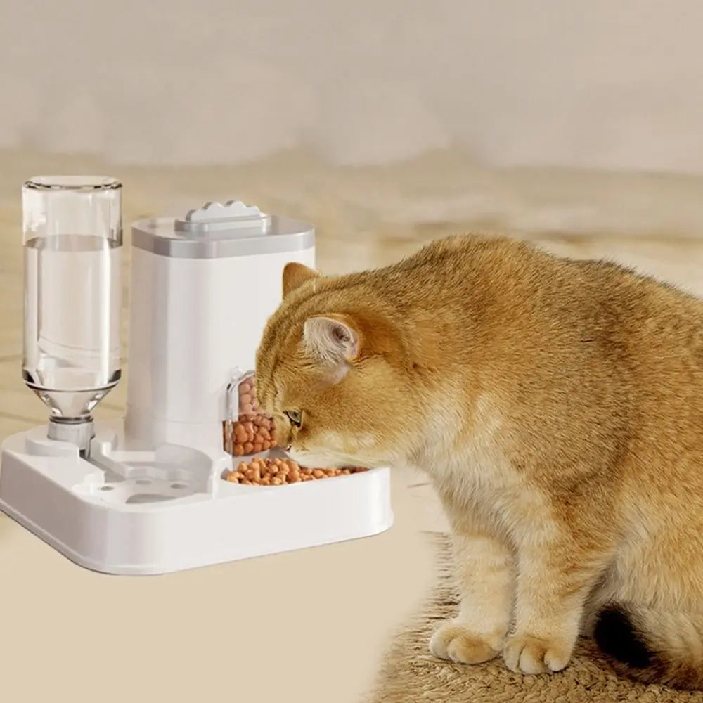 Large Capacity 2 in 1 Cat Food Dispenser Detachable with Water Fountain Automatic Cat Water Feeder Dry Wet Separation