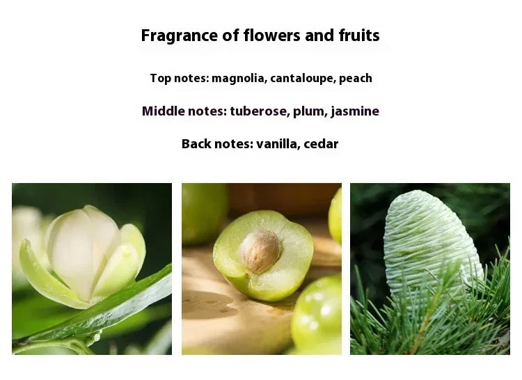 Flirting Pheromone Romantic and Long-lasting Attractive Valentine's Day Gift for Women Ladies' Perfume Brand Perfume Spray